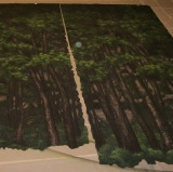 Tree Panels CS 9'3